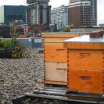 Apiculture en milieu urbain