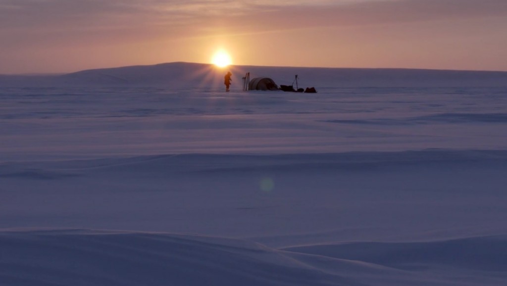 arctique-vincent-munier-1