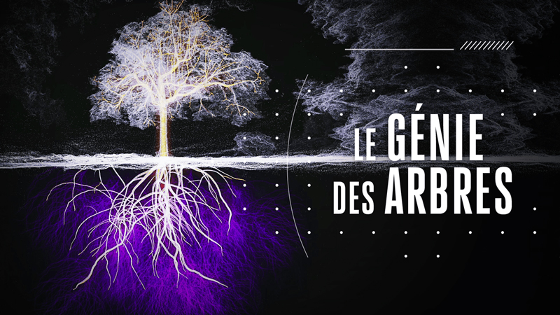 Le génie des arbres