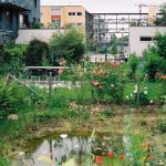 Le Plan « Nature en Ville » : un nouveau souffle pour nos cités