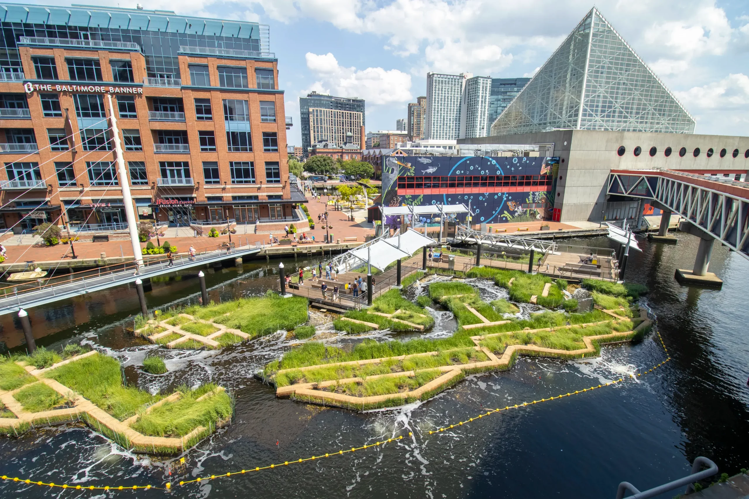 Le port de Baltimore : un îlot flottant au service de la biodiversité