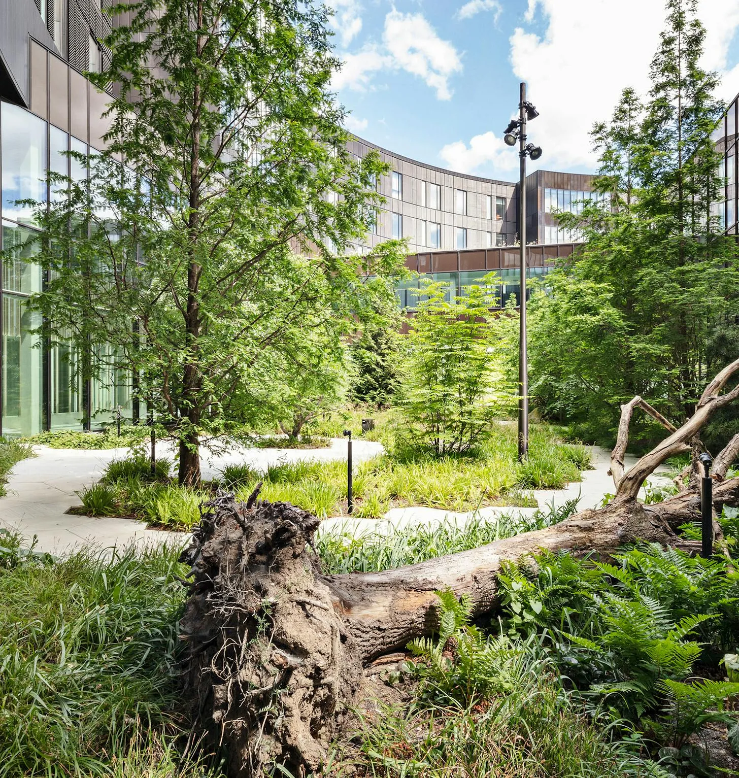 A Herlev, la nature à l’hôpital